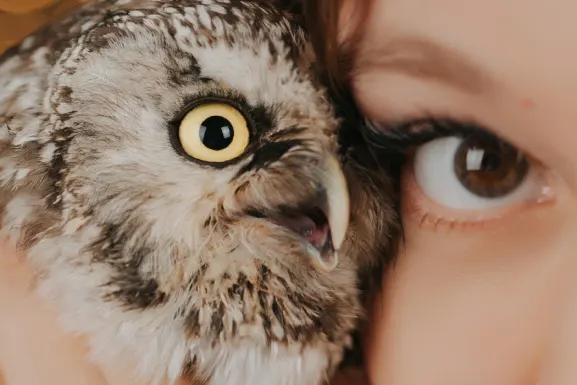 PlayHub Kasino Sokongan